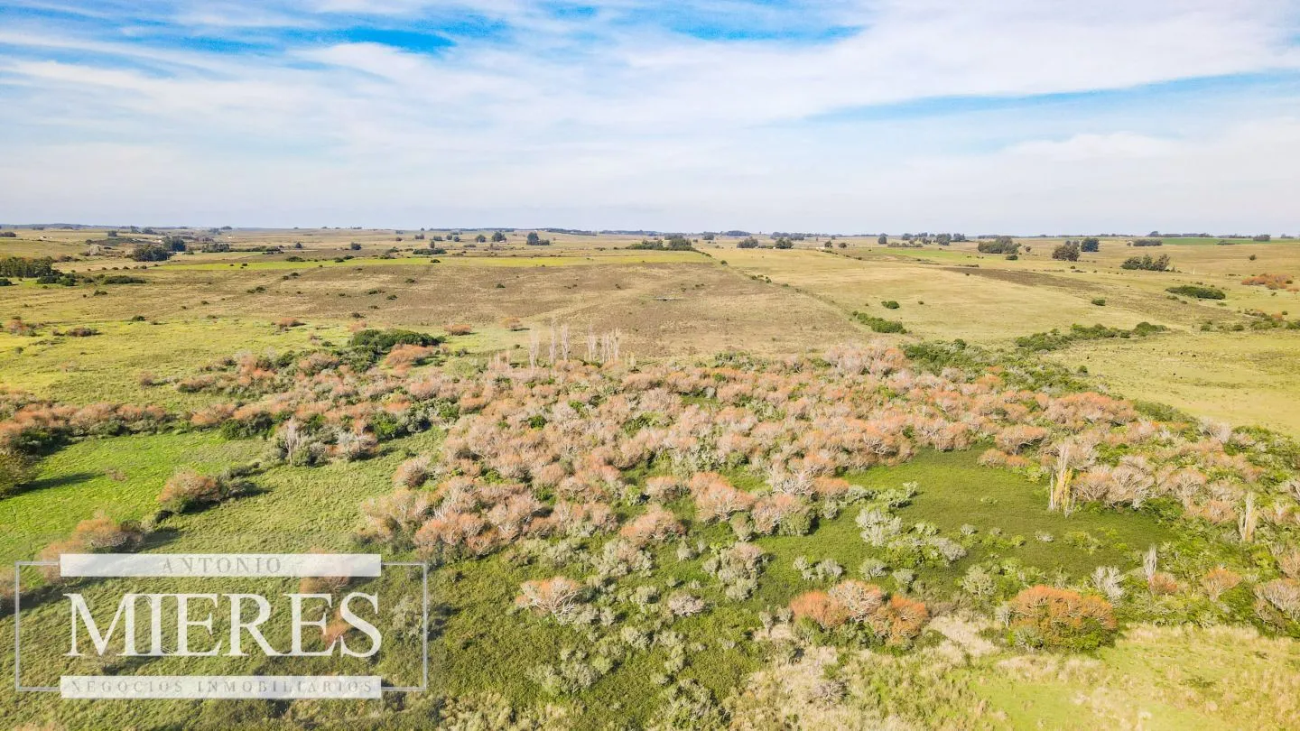 Chacra en venta de 13 ha ubicada en Corte de la Leña — foto 22