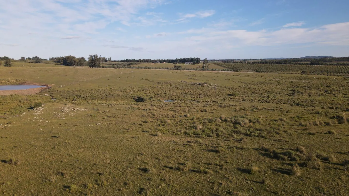 Chacras en venta de 5 ha en partido norte, Maldonado. — foto 7