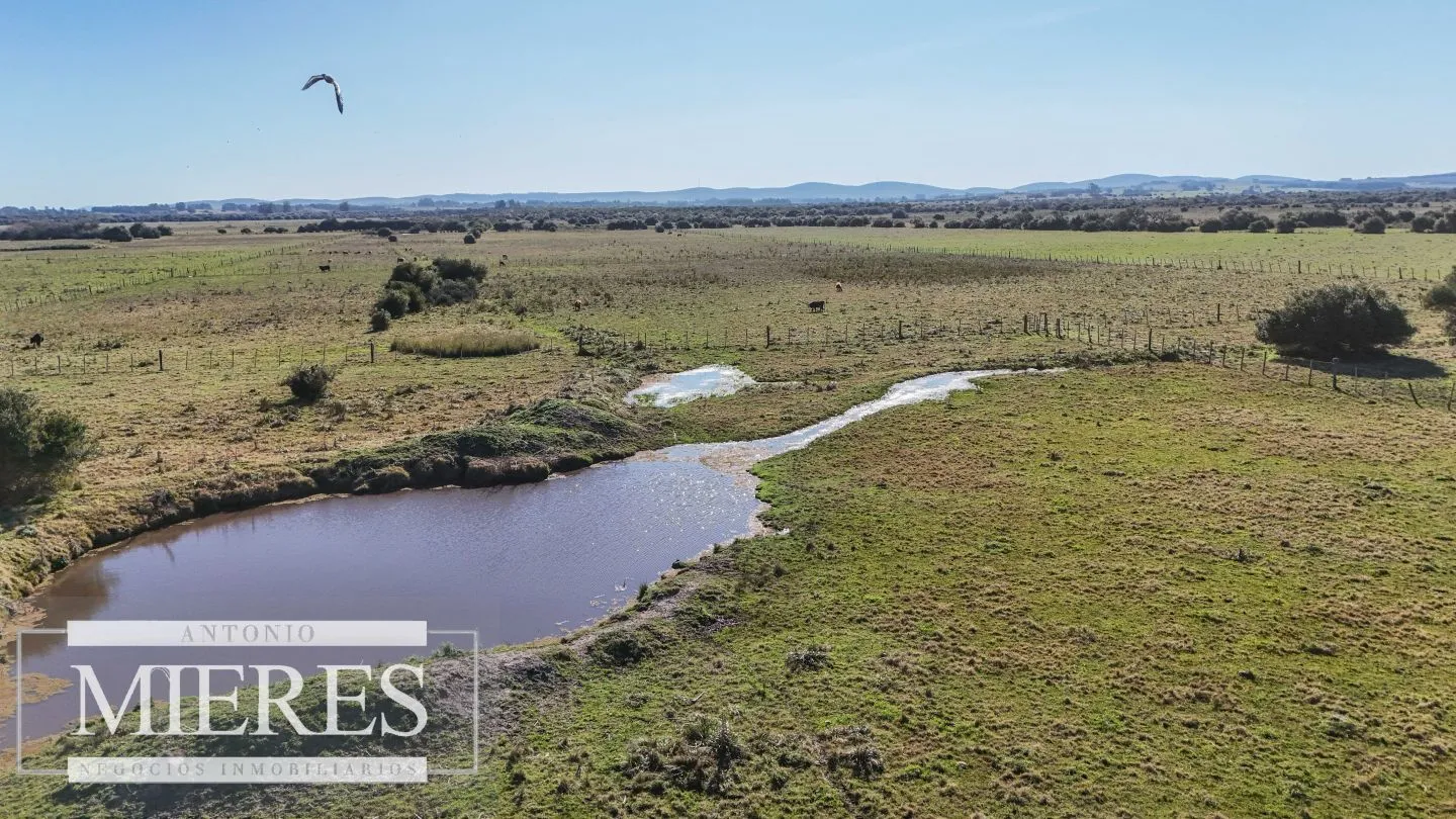 Venta de campo 26 ha Maldonado, Uruguay. — foto 1