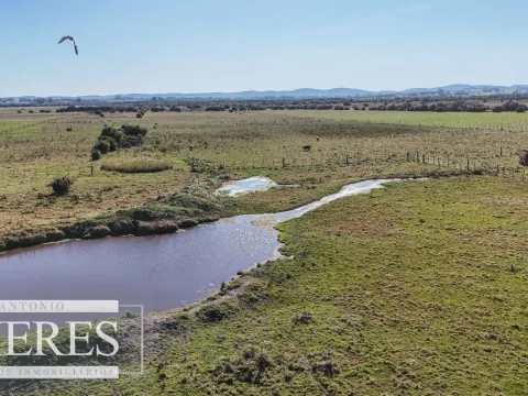 Venta de campo 26 ha Maldonado, Uruguay.