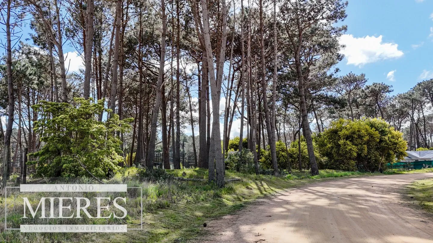 Terreno en venta en Reserva Montoya — foto 2