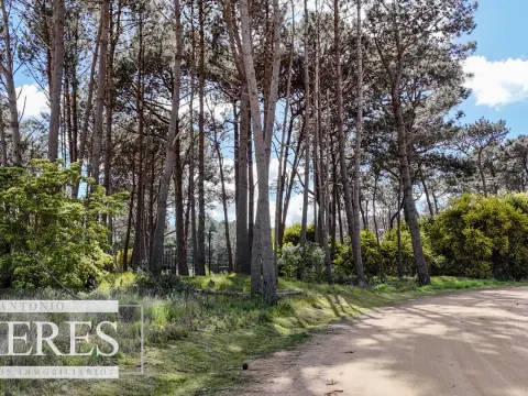 Terreno en venta en Reserva Montoya — foto 2