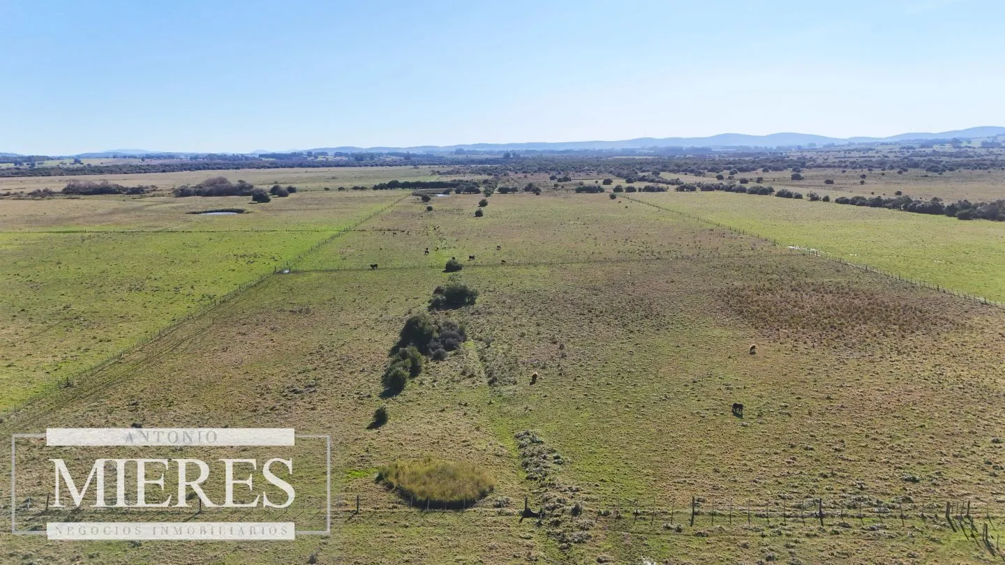 Venta de campo 26 ha Maldonado, Uruguay. — foto 2