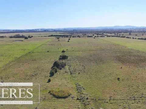 Venta de campo 26 ha Maldonado, Uruguay. — foto 2