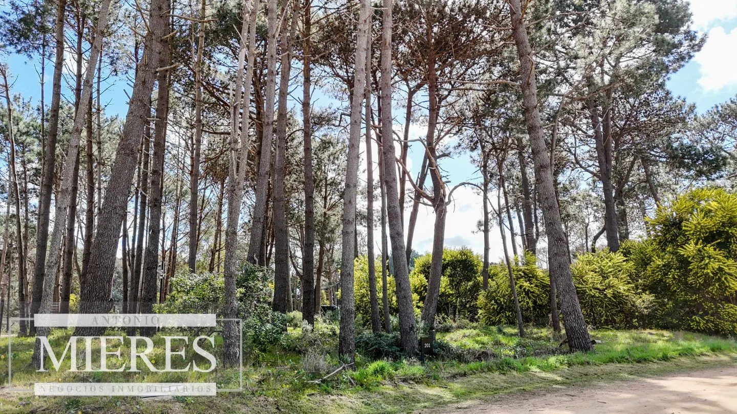 Terreno en venta en Reserva Montoya — foto 3
