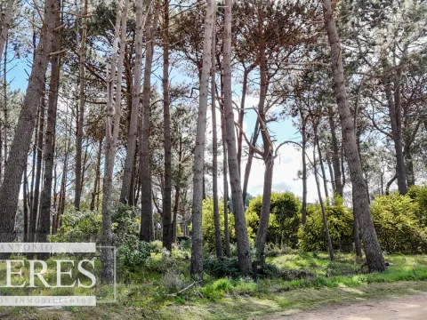 Terreno en venta en Reserva Montoya — foto 3