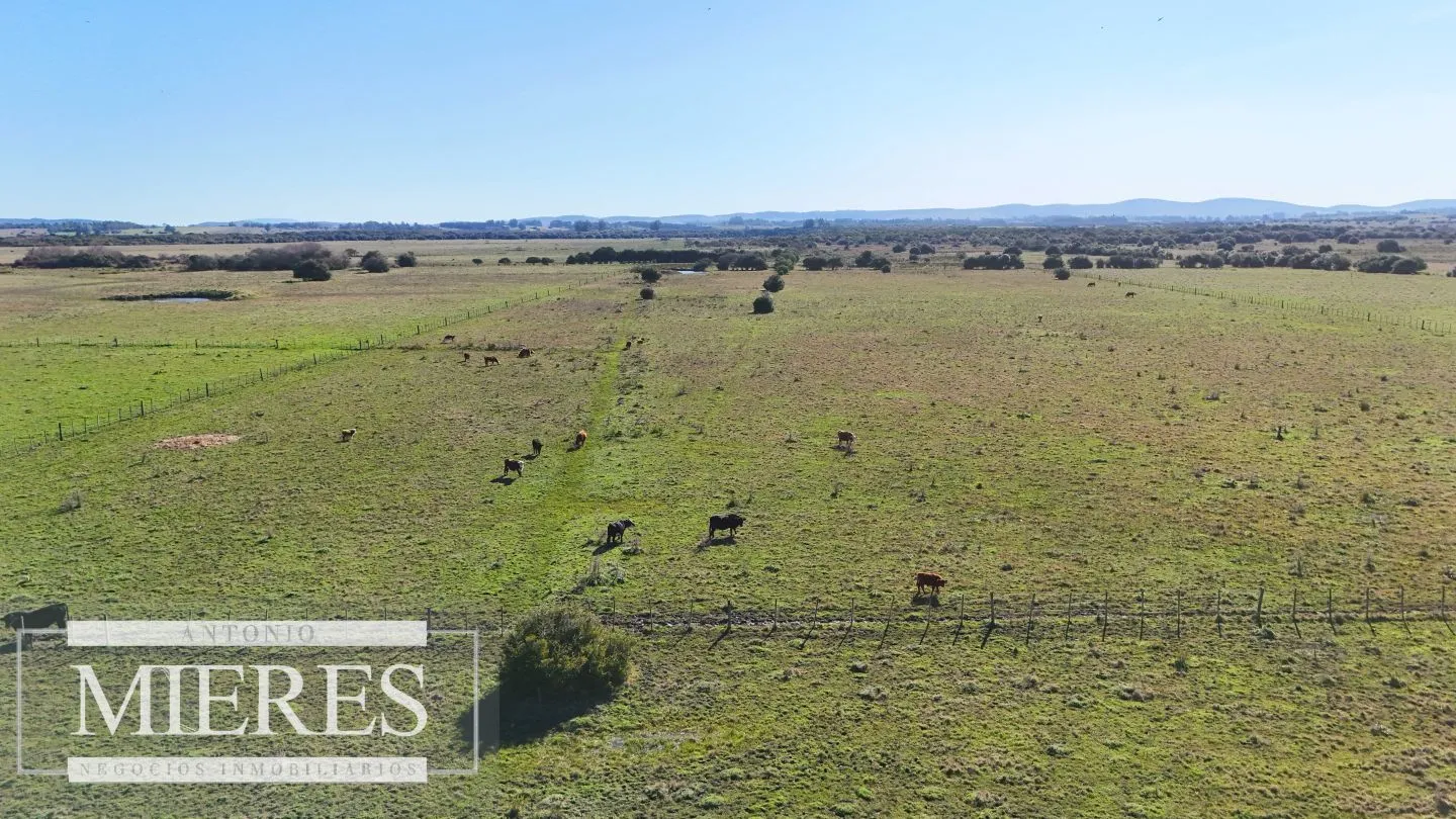 Venta de campo 26 ha Maldonado, Uruguay. — foto 3