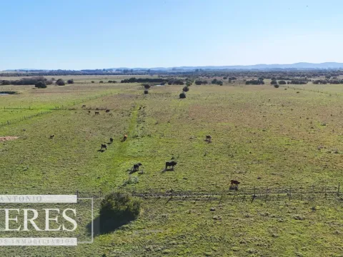 Venta de campo 26 ha Maldonado, Uruguay. — foto 3
