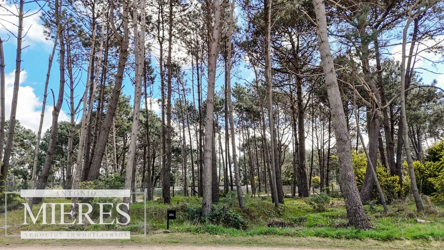 Terreno en venta en Reserva Montoya — foto 4
