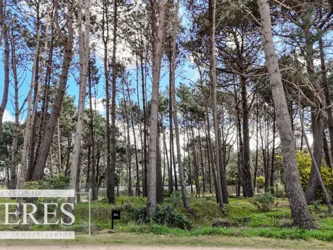 Terreno en venta en Reserva Montoya — foto 4