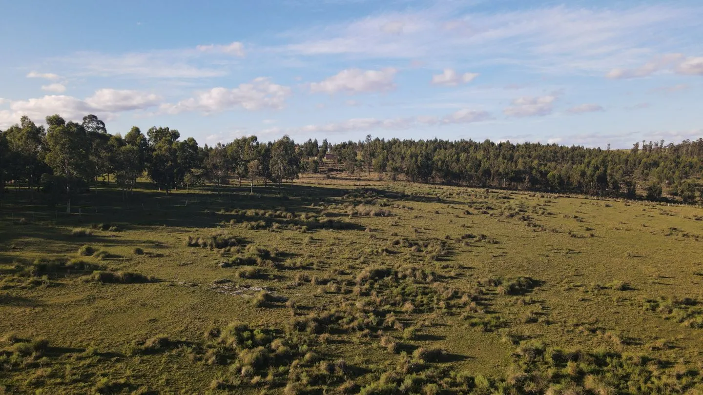 Chacras en venta de 5 ha en partido norte, Maldonado. — foto 10