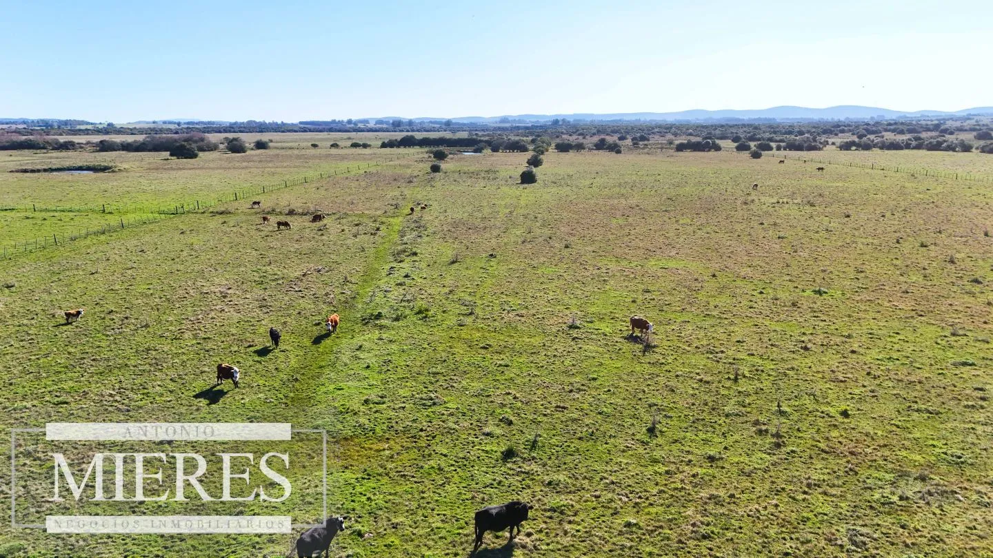 Venta de campo 26 ha Maldonado, Uruguay. — foto 4