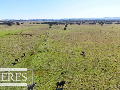 Venta de campo 26 ha Maldonado, Uruguay. — foto 4