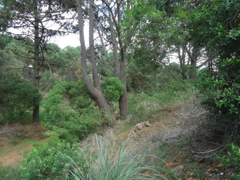 Venta lote en altura Club del Lago- Punta Ballena — foto 2