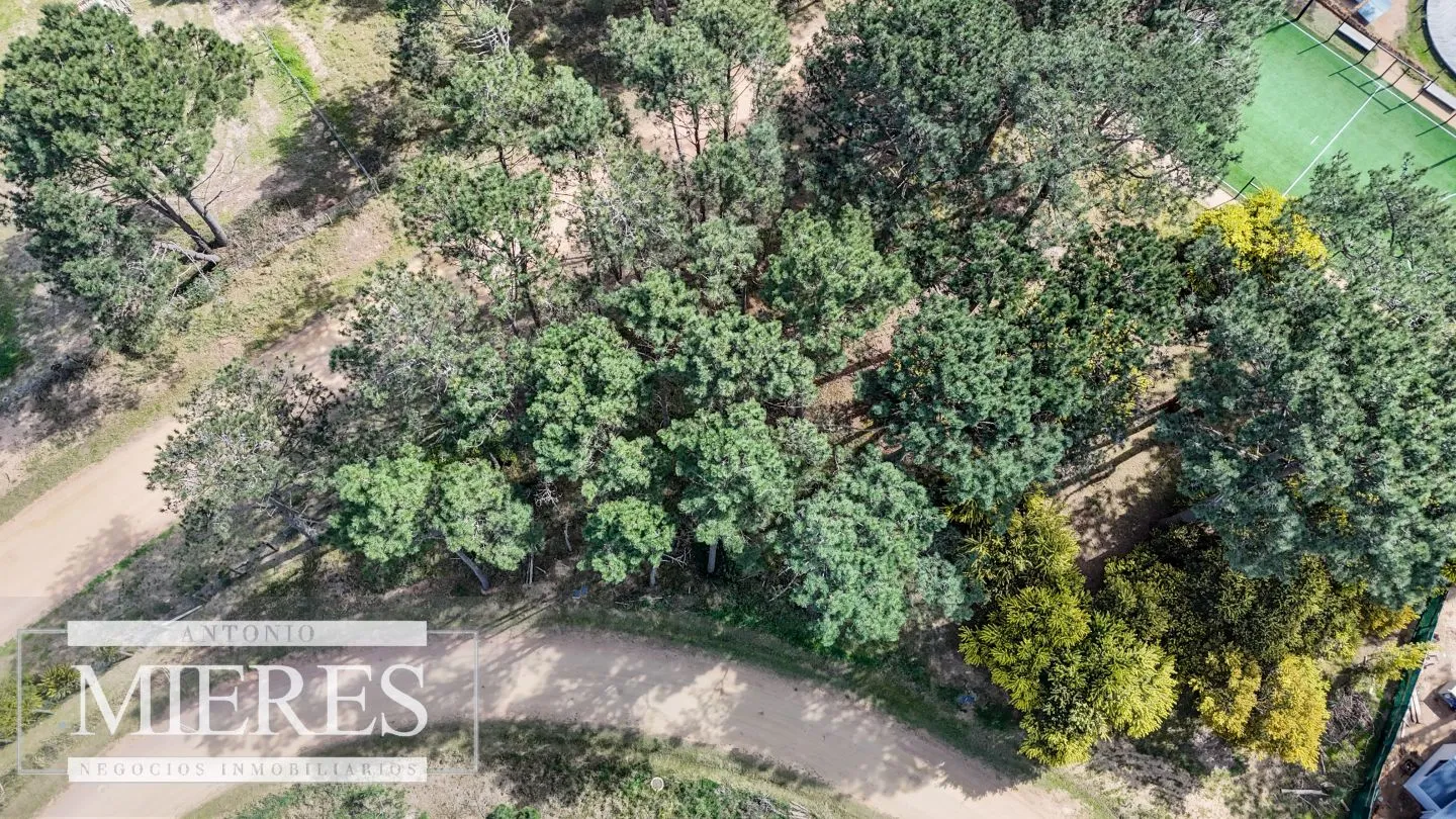 Terreno en venta en Reserva Montoya — foto 6