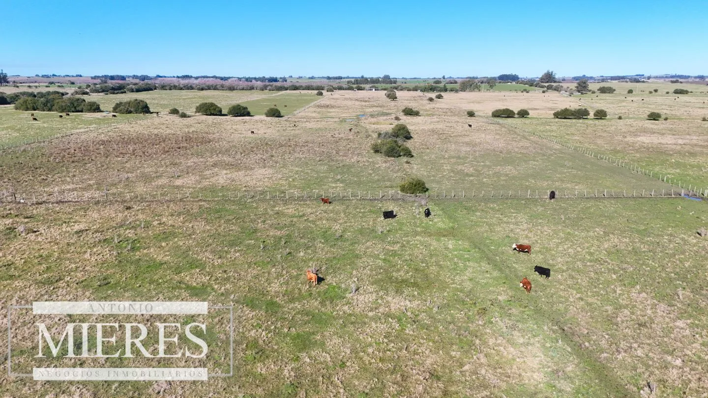 Venta de campo 26 ha Maldonado, Uruguay. — foto 5