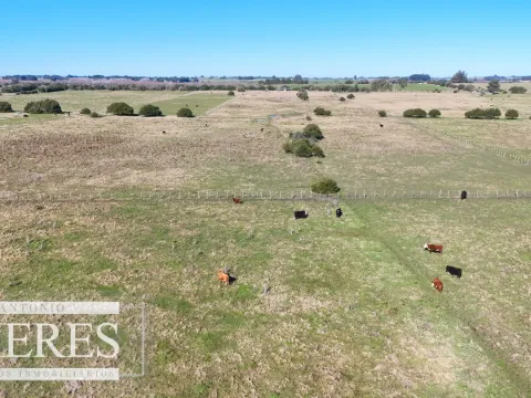 Venta de campo 26 ha Maldonado, Uruguay. — foto 5