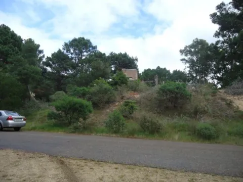 Venta lote en altura Club del Lago- Punta Ballena — foto 3
