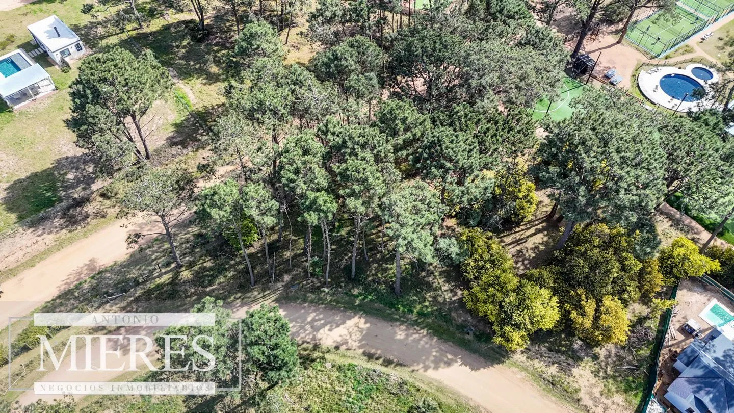 Terreno en venta en Reserva Montoya — foto 7