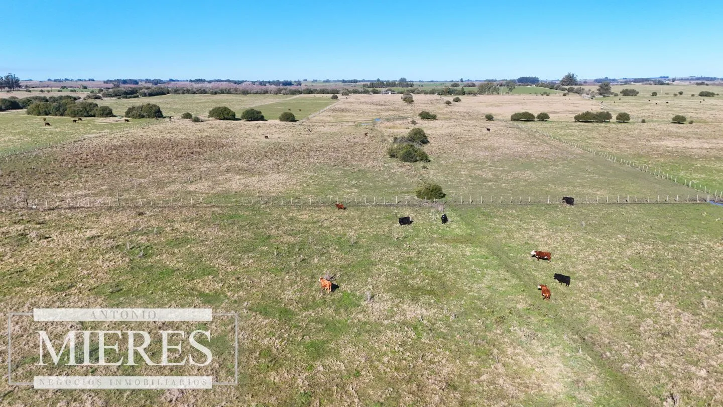 Venta de campo 26 ha Maldonado, Uruguay. — foto 6
