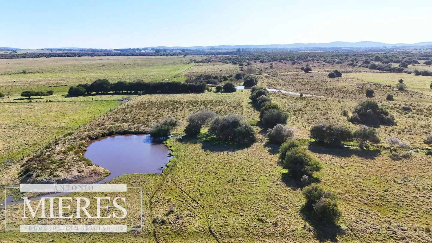 Venta de campo 26 ha Maldonado, Uruguay. — foto 7