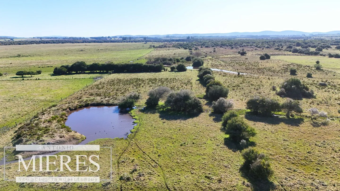 Venta de campo 26 ha Maldonado, Uruguay. — foto 8