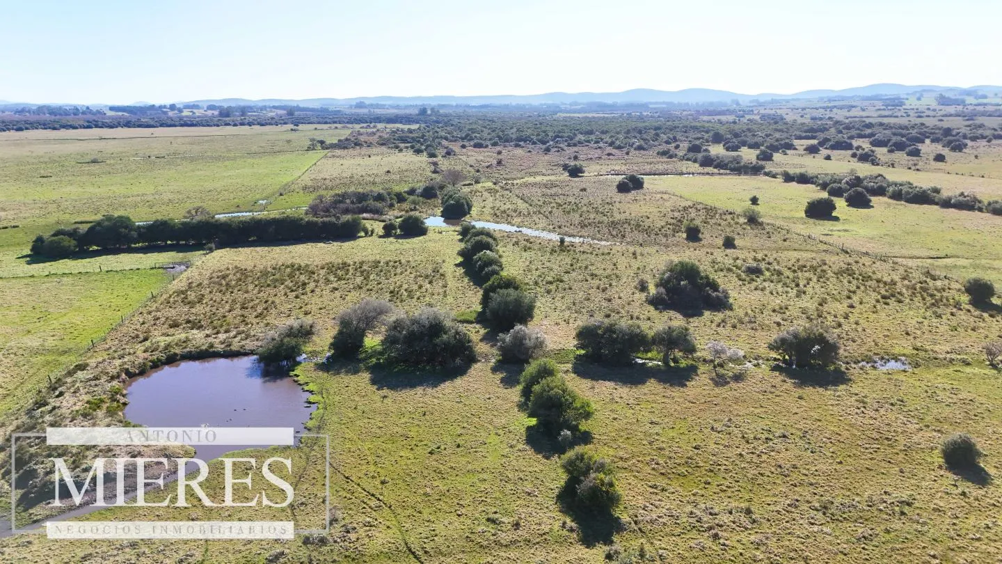 Venta de campo 26 ha Maldonado, Uruguay. — foto 9