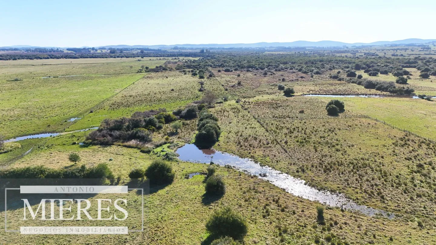 Venta de campo 26 ha Maldonado, Uruguay. — foto 10