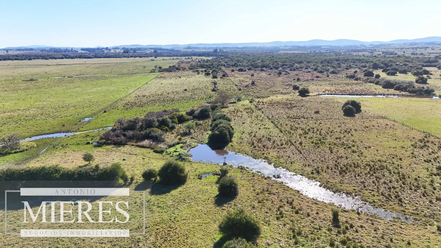 Venta de campo 26 ha Maldonado, Uruguay. — foto 11