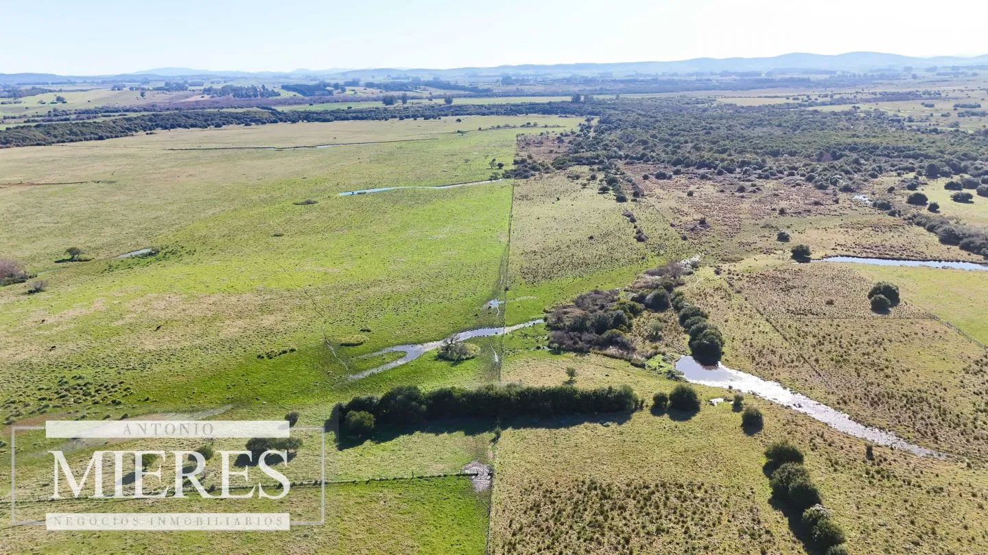Venta de campo 26 ha Maldonado, Uruguay. — foto 12