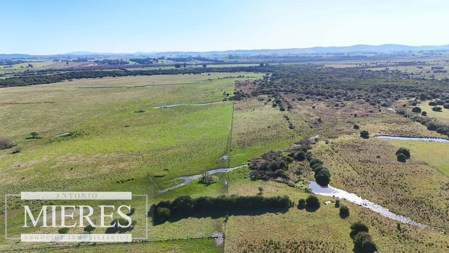 Venta de campo 26 ha Maldonado, Uruguay. — foto 13