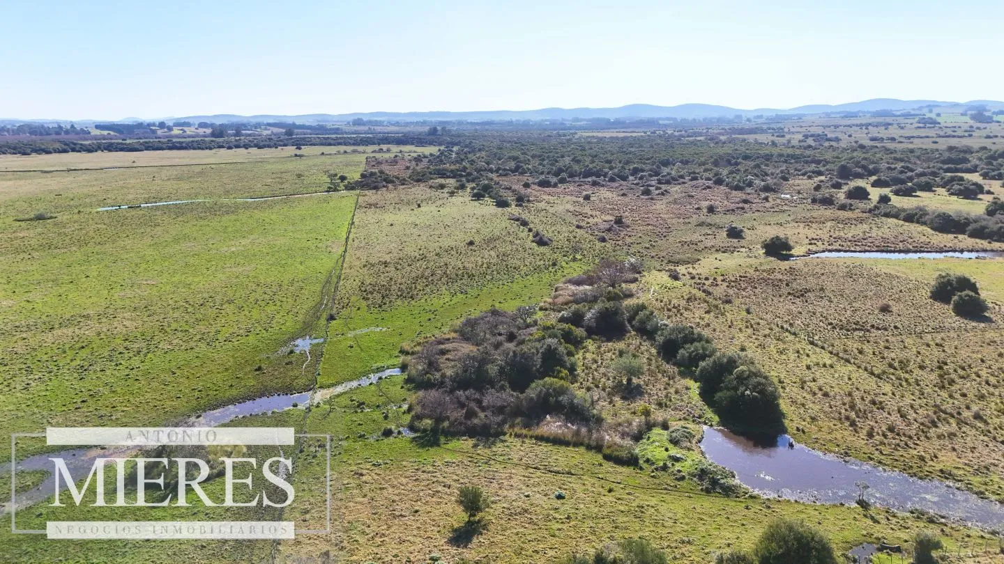 Venta de campo 26 ha Maldonado, Uruguay. — foto 14