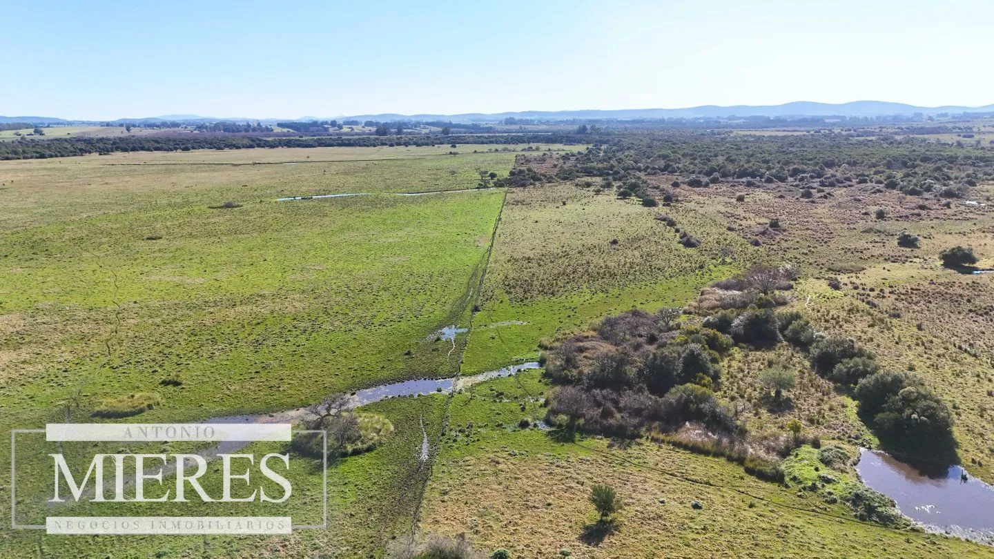 Venta de campo 26 ha Maldonado, Uruguay. — foto 15