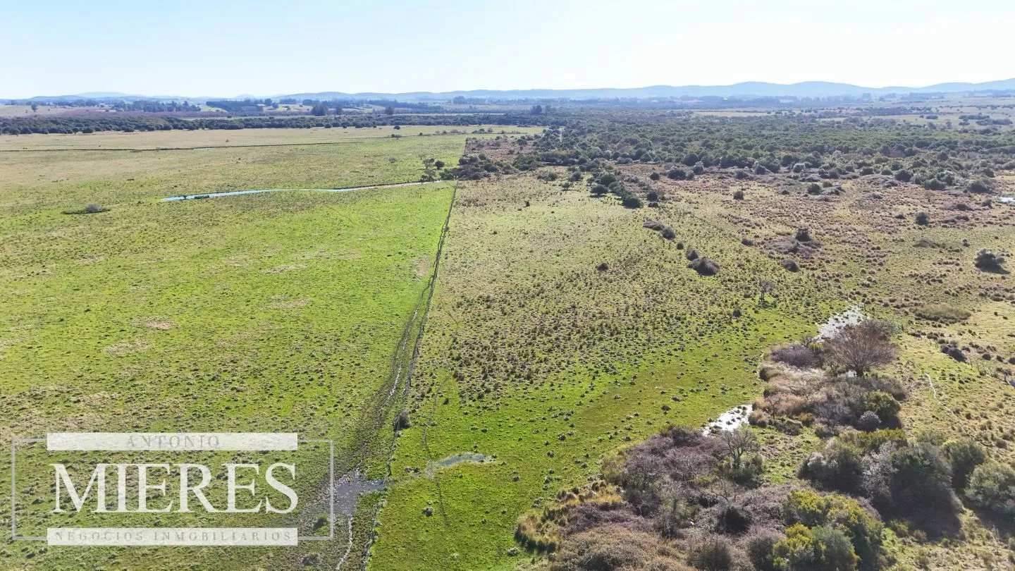 Venta de campo 26 ha Maldonado, Uruguay. — foto 16