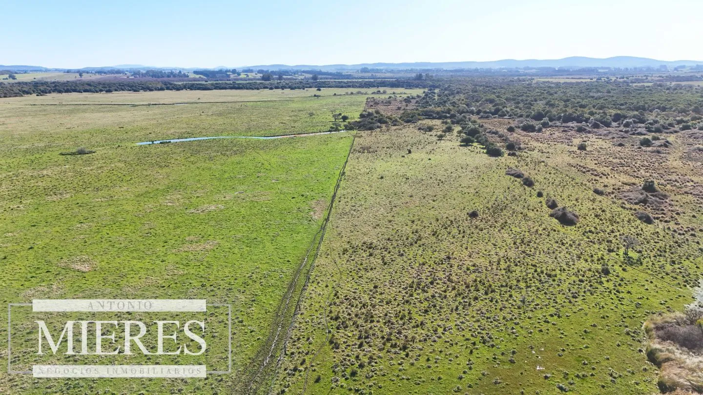 Venta de campo 26 ha Maldonado, Uruguay. — foto 17