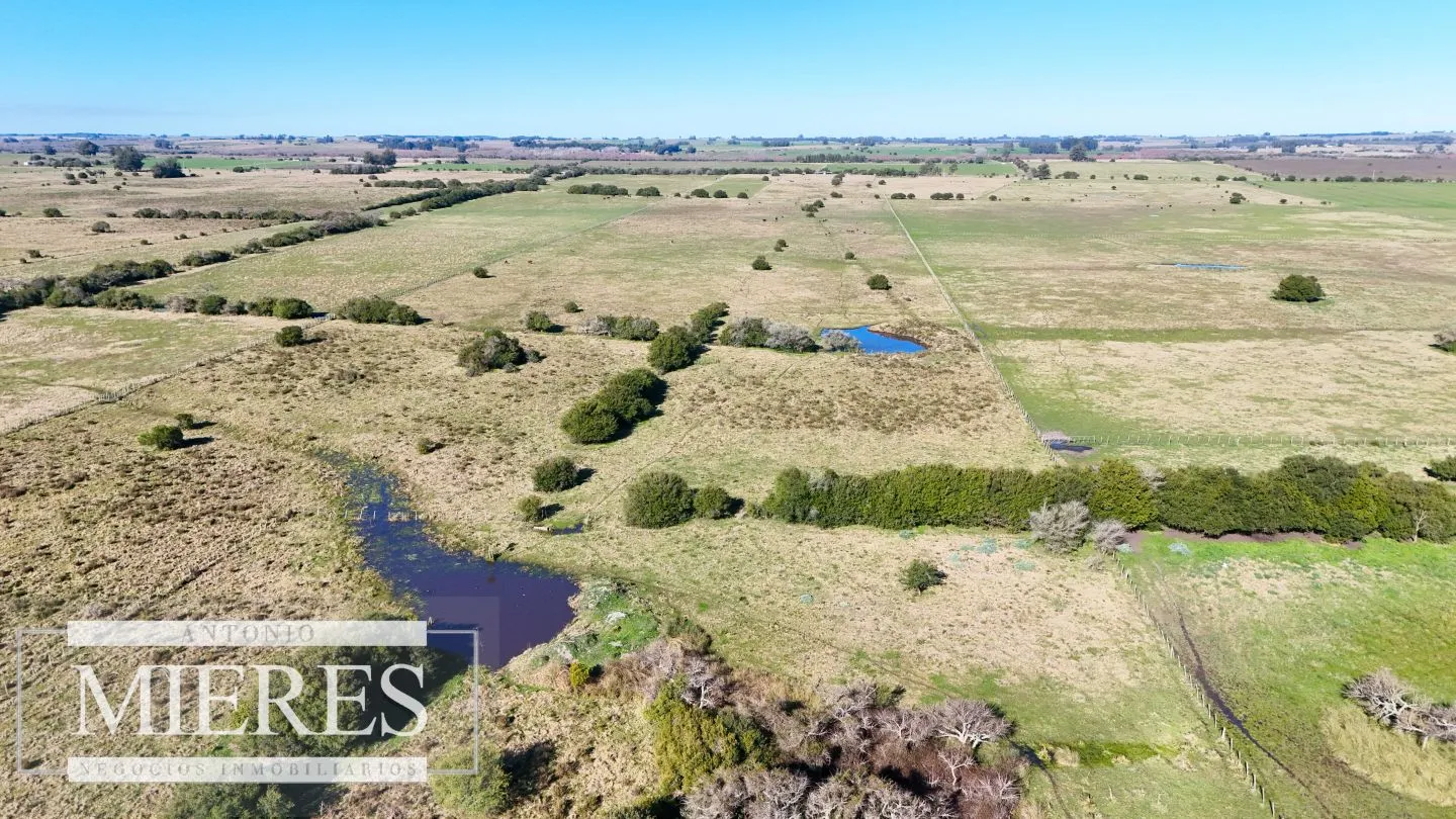 Venta de campo 26 ha Maldonado, Uruguay. — foto 18