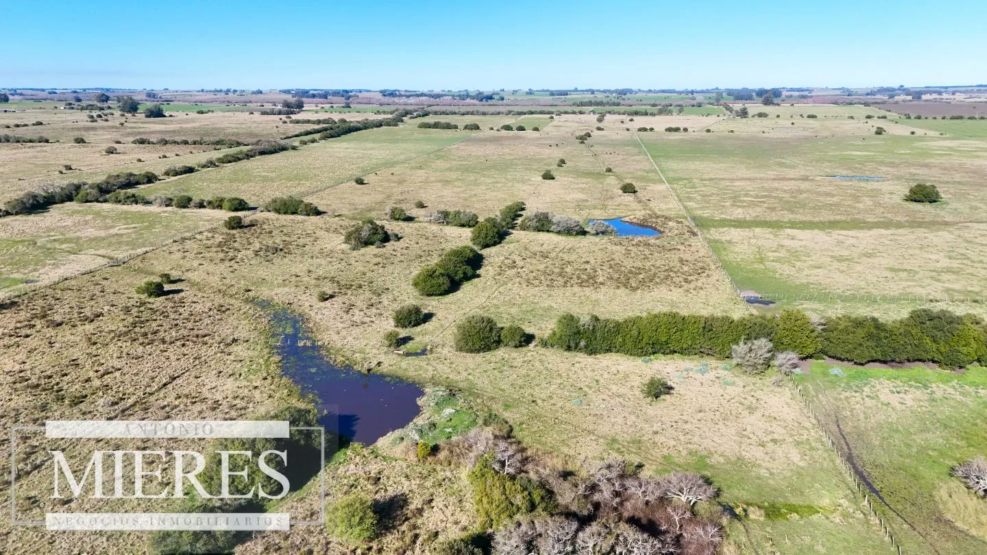 Venta de campo 26 ha Maldonado, Uruguay. — foto 19