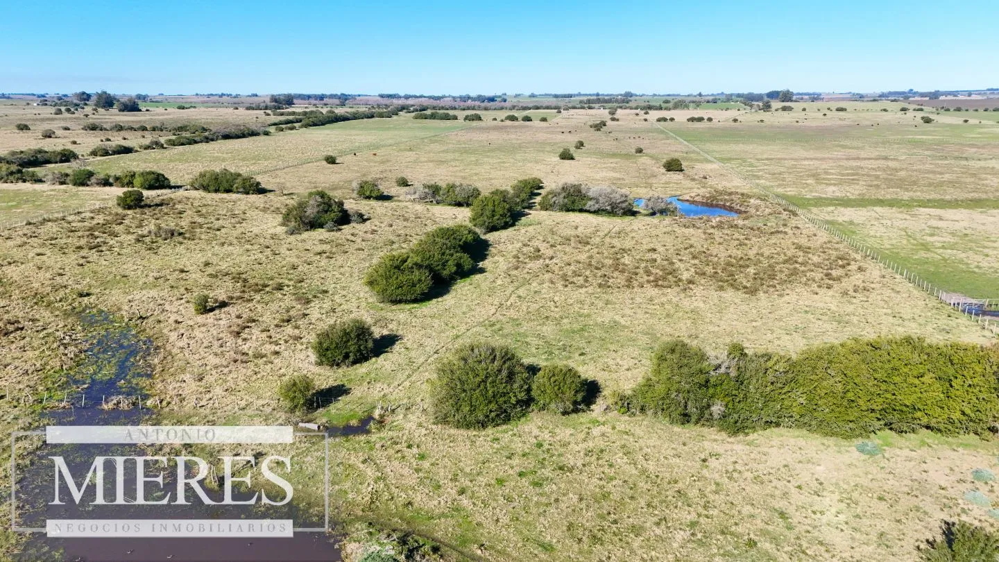 Venta de campo 26 ha Maldonado, Uruguay. — foto 20