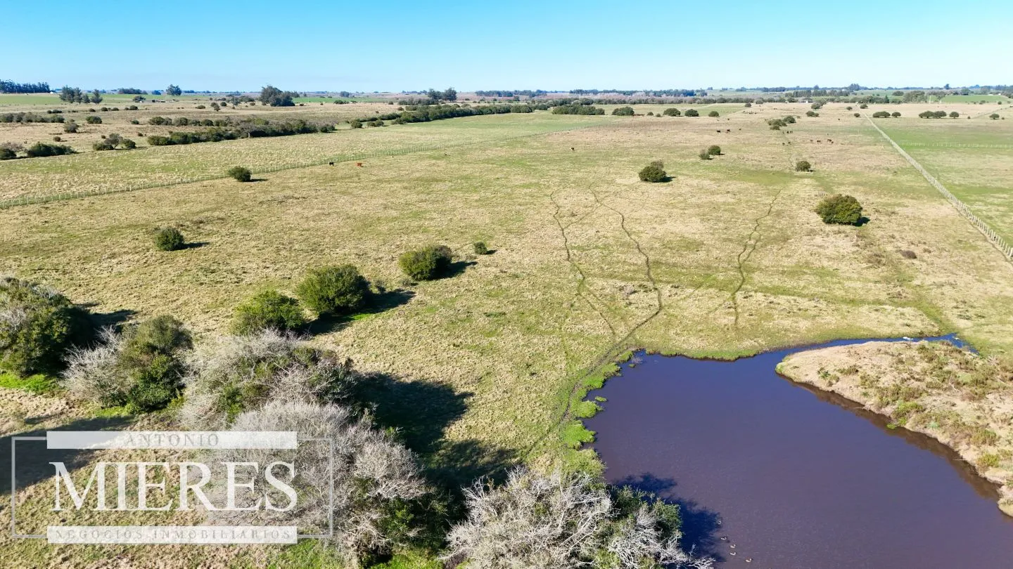 Venta de campo 26 ha Maldonado, Uruguay. — foto 21