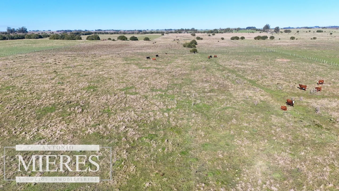 Venta de campo 26 ha Maldonado, Uruguay. — foto 22
