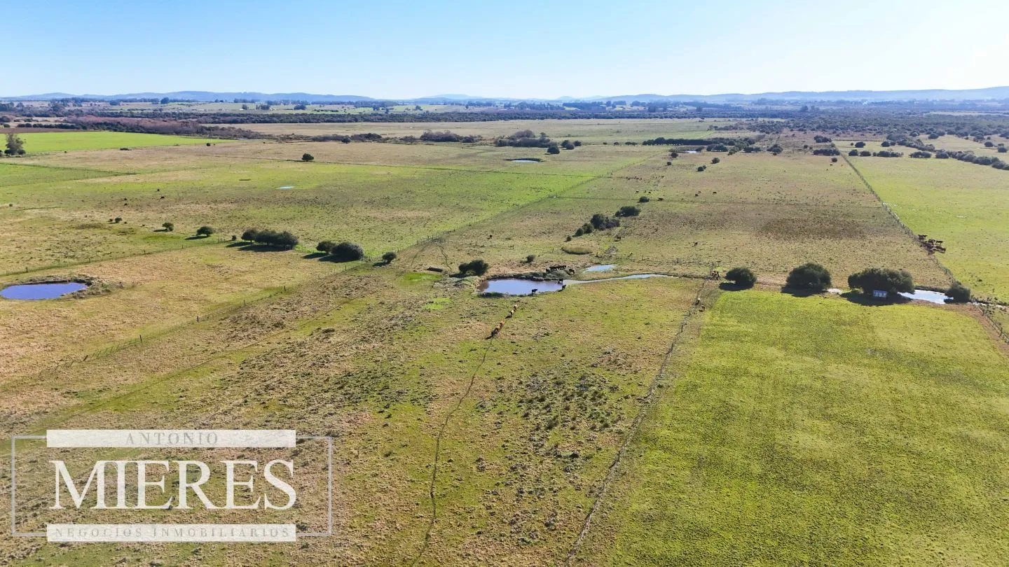Venta de campo 26 ha Maldonado, Uruguay. — foto 23