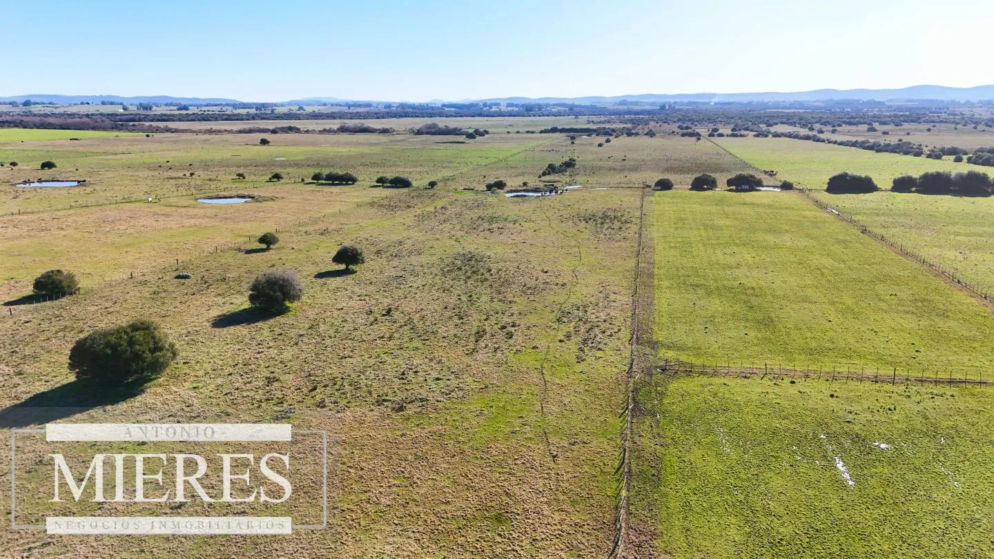 Venta de campo 26 ha Maldonado, Uruguay. — foto 24