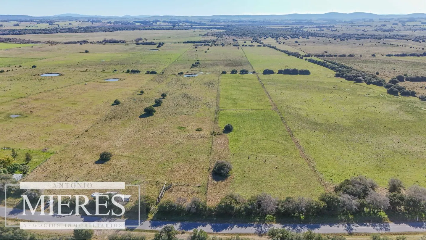 Venta de campo 26 ha Maldonado, Uruguay. — foto 26