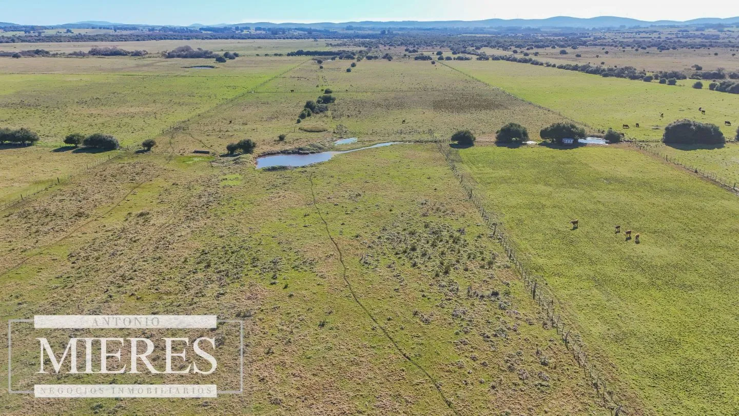 Venta de campo 26 ha Maldonado, Uruguay. — foto 27