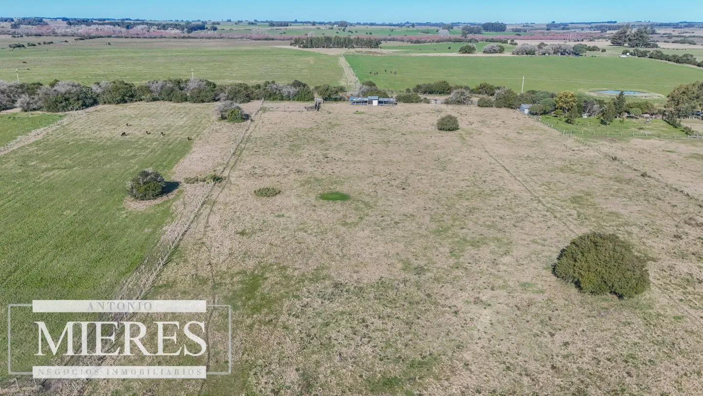 Venta de campo 26 ha Maldonado, Uruguay. — foto 28