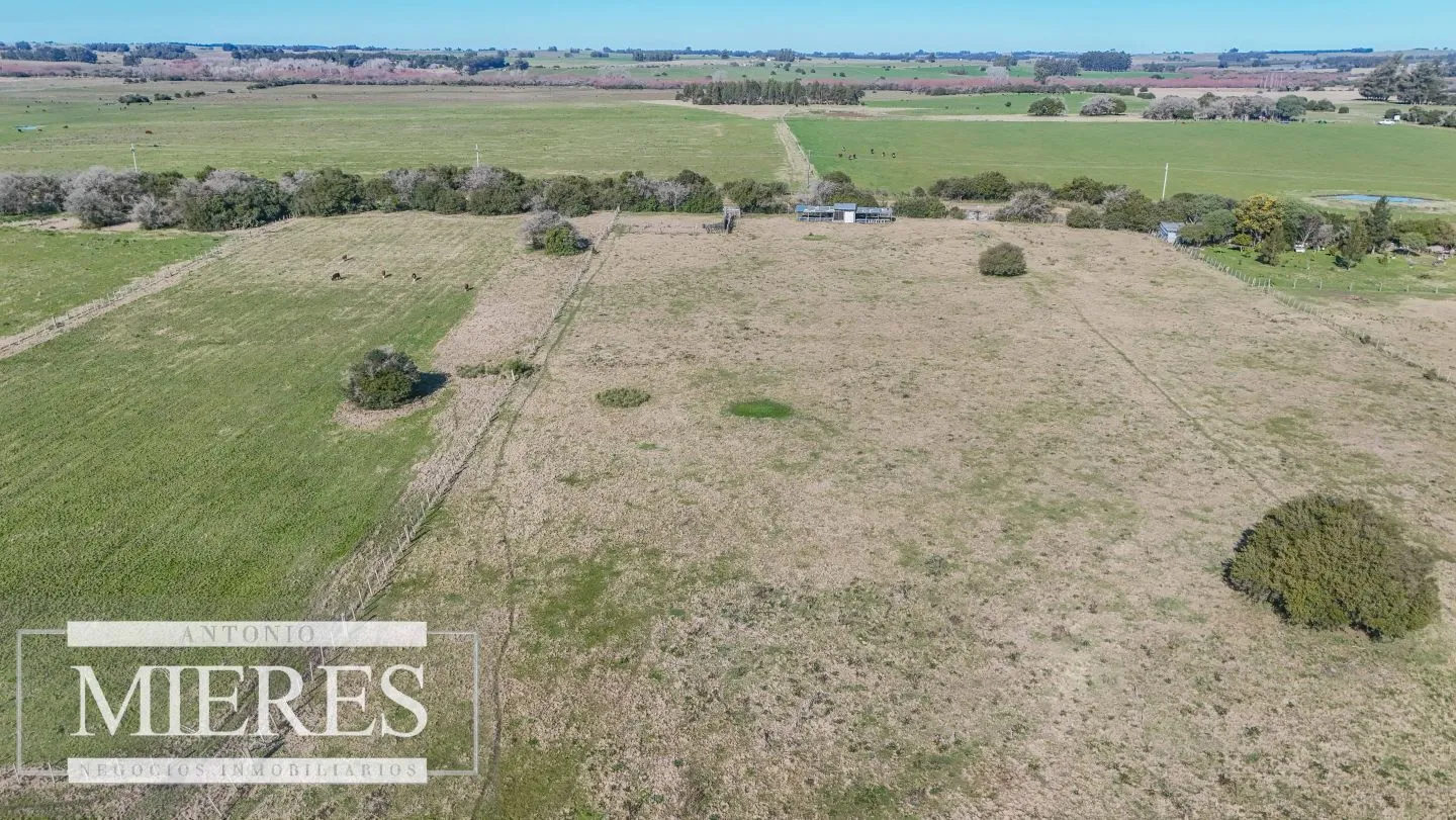 Venta de campo 26 ha Maldonado, Uruguay. — foto 29
