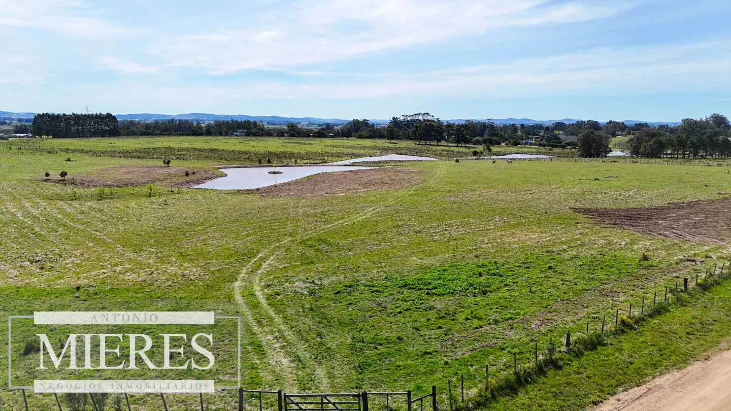 Chacra / Campo 5,0 ha en Maldonado — foto 1