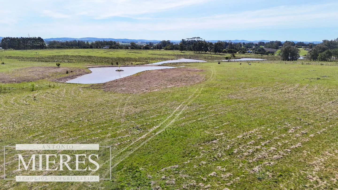 Chacra / Campo 5,0 ha en Maldonado — foto 2