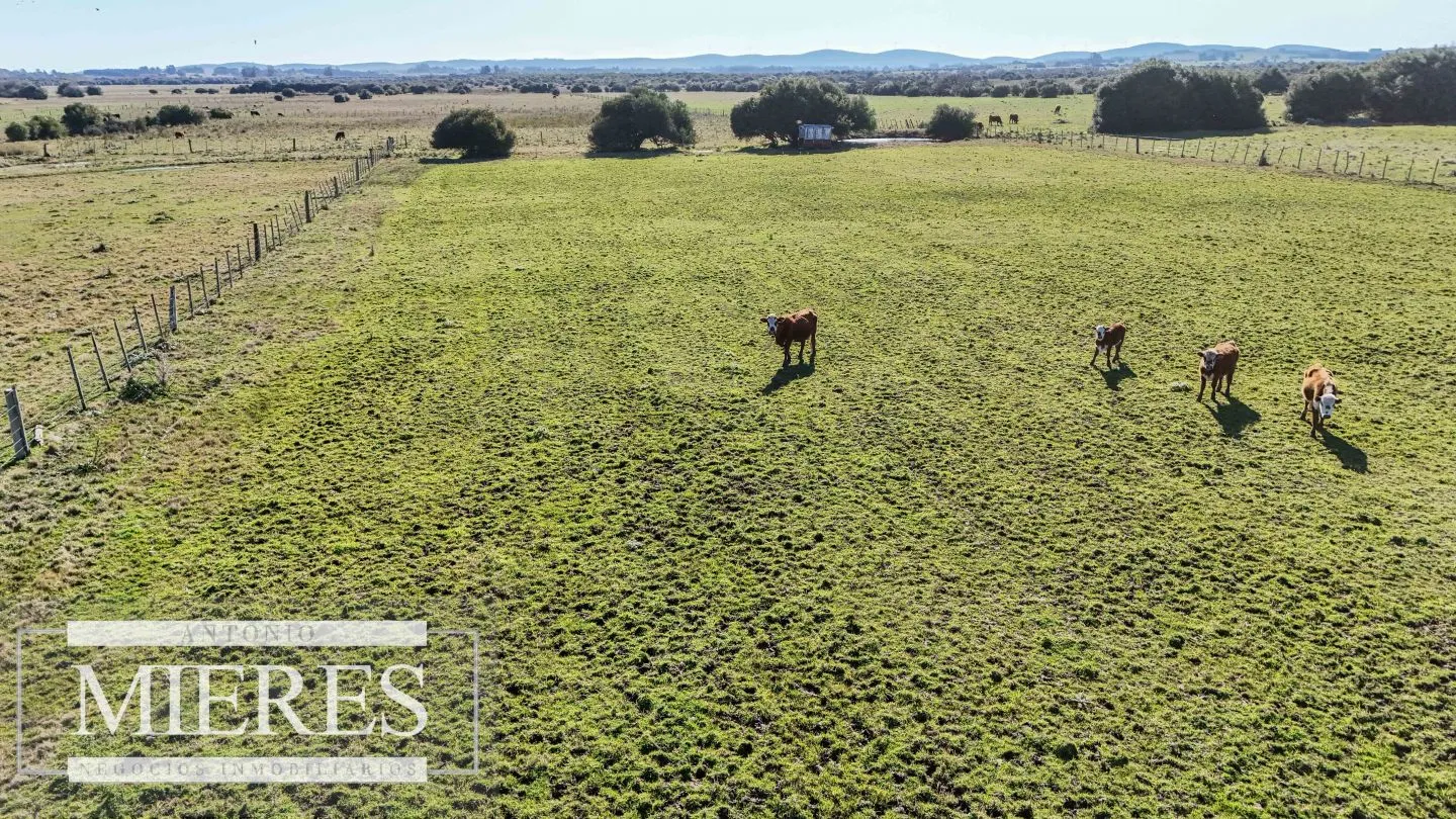 Venta de campo 26 ha Maldonado, Uruguay. — foto 30