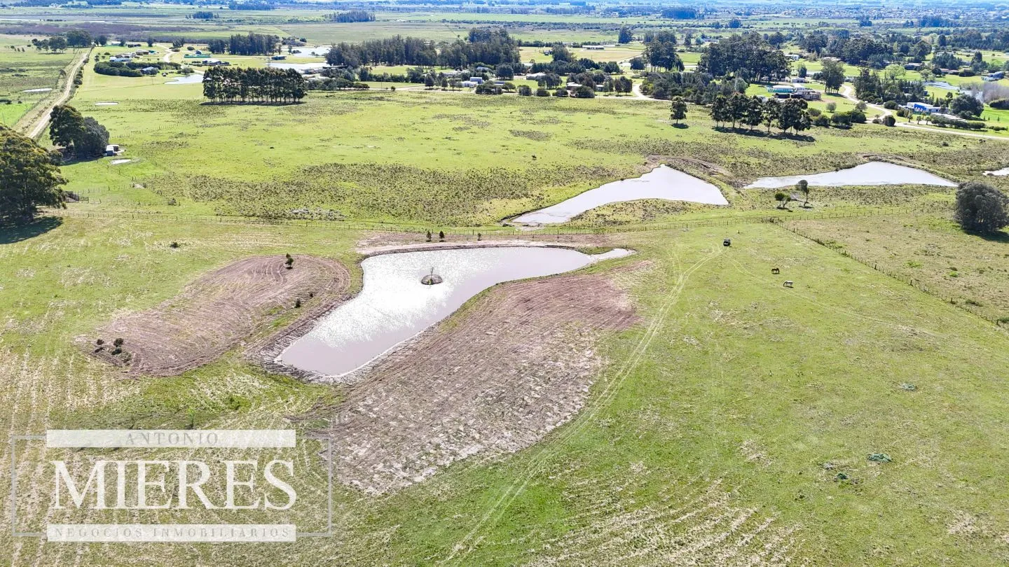Chacra / Campo 5,0 ha en Maldonado — foto 4